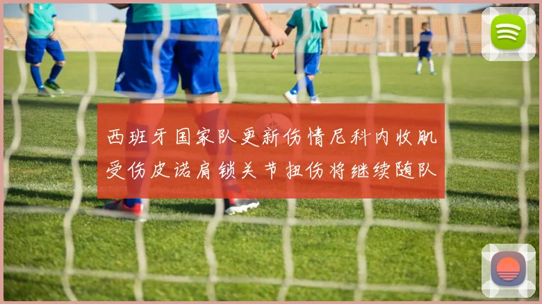 西班牙国家队更新伤情尼科内收肌受伤皮诺肩锁关节扭伤将继续随队训练
